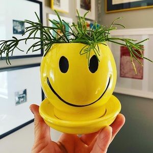 McCoy smiley face planter